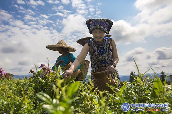 中邦邦际音信传媒集团践诺董事长向瑞成雷竞技APP一行赴硒都来凤县窥探调研(图5)